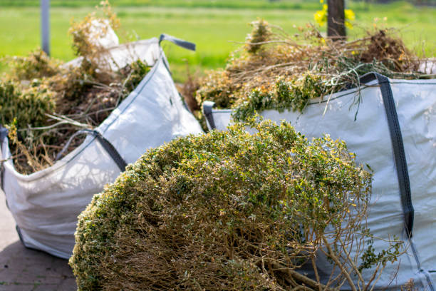 Best Garage Cleanout Services  in Swanton, OH