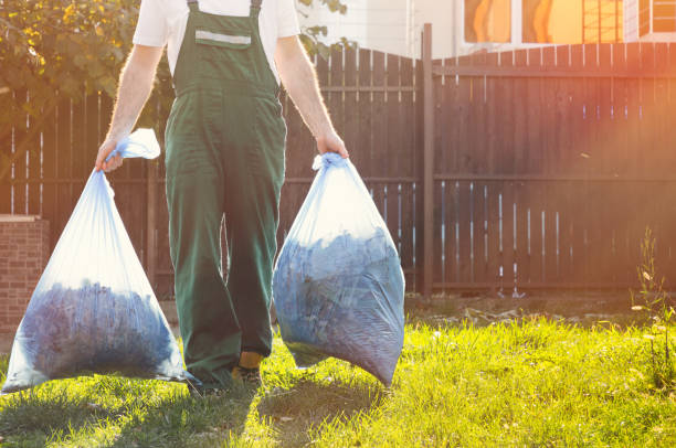 Best Construction Debris Removal  in Swanton, OH